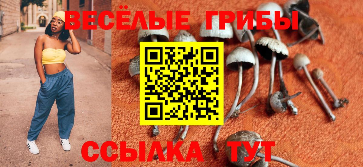 Галлюциногенные грибы Psilocybe Грязи